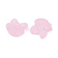 Матовые прозрачные акриловые бусины&nbsp;OACR-P029-18B-01