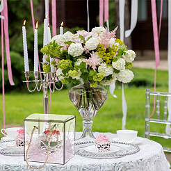 Прозрачная подарочная коробка из пластика для животных&nbsp;OBOX-WH0016-05B