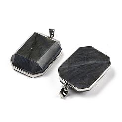 Природные подвески лабрадорита&nbsp;G-B139-02P-04