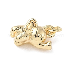 Латунь подвески&nbsp;ZIRC-I356-04G-01