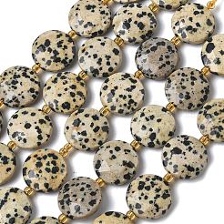 Природные яшмы далматин бисер нитей&nbsp;G-A292-A06-01