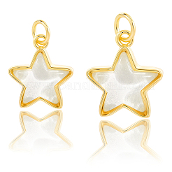 10шт 2 стиля латунные подвески KK-BBC0019-20A