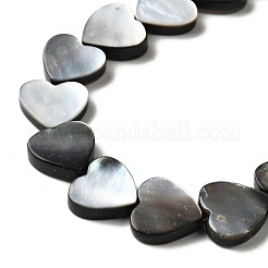 Нити бусин из натуральной черной ракушки для губ BSHE-D300-06A