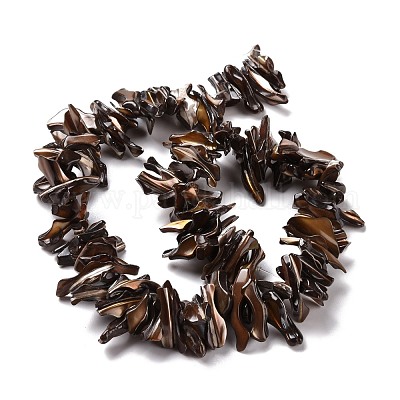 Природные trochid бусы нити SSHEL-G023-05A-1