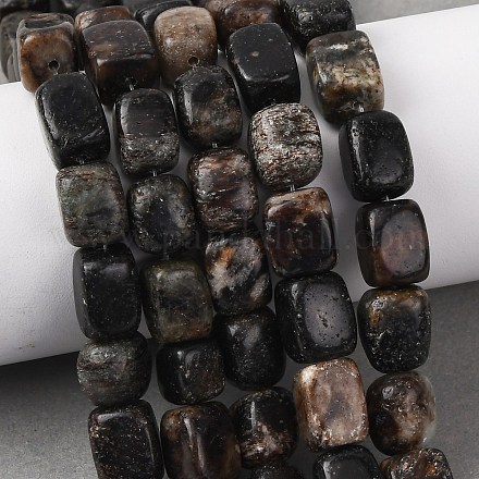 Природного биотита нитей бисера&nbsp;G-D098-D15-1