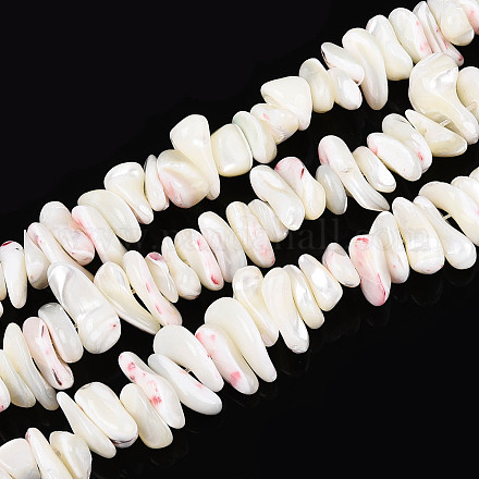 Нити бусин из натуральных трохоидных/трохус ракушек SSHEL-T017-29-1