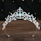 Alloy Rhinestone Crown Hair Bands for Woman Girls, Wedding Party Decoration, Light Azore, 140mm