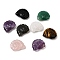 Natural Mixed Gemstone Pendants, Top-Drilled Two-Sided Carved Nautilus, 29x25x9.5mm, Hole: 1mm
