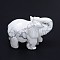 Howlite 3D Elephant Home Display Decorations, 30~45x20~28x25~35mm