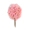 Plastic Model Ornament, Tree, for Desk Home Decoration, Pink, 36~37x20~22mm