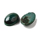 Природные кабошон малахита G-E557-03O-2