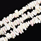 Нити бусин из натуральных трохоидных/трохус ракушек SSHEL-T017-29-1