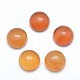 Природные сердолик кабошоны X-G-P393-R41-10mm-1