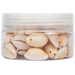 Подвески из каури&nbsp;SHEL-PH0001-04