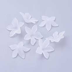 Прозрачные акриловые бусины PL594-11