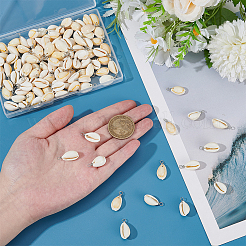 120 шт. подвески из натуральной ракушки каури PALLOY-ME00018