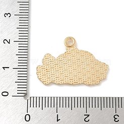 Подвески из сплава на день благодарения&nbsp;ENAM-R007-01G-04