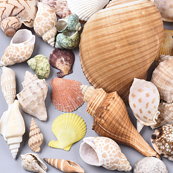 Натуральные спиральные бусы из ракушек SSHEL-N035-01