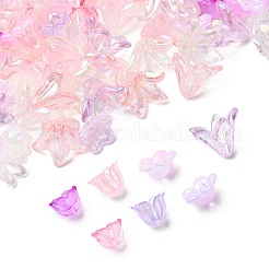 Акриловые колпачки для бусин смешанного стиля OACR-FS0002-50A