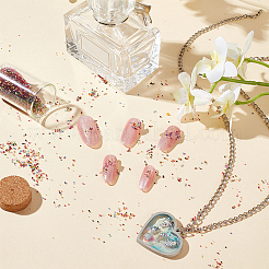 DIY 3 D украшения искусства ногтя бисера мини стекла&nbsp;MRMJ-OC0002-05