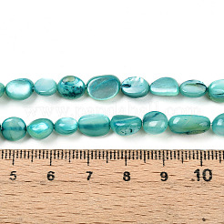 Нити бусин из натуральной белой ракушки&nbsp;SHEL-N036-21C