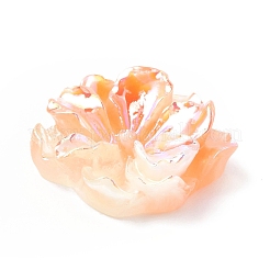 Светящиеся кабошонов смолы&nbsp;RESI-E033-02F