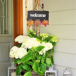 2 шт. 2-х цветные деревянные украшения для дверных табличек&nbsp;AJEW-CF0001-10