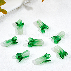 30шт ручной работы бусины лэмпворк&nbsp;LAMP-OC0001-31