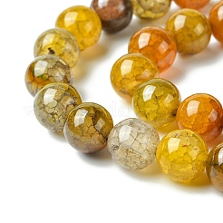 Окрашенные естественно дракон жил агат бисер пряди&nbsp;G-C068-10mm-15