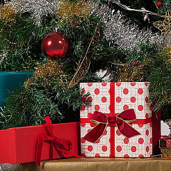 Полиэфирная бархатная лента с проволокой SRIB-WH0072-04A