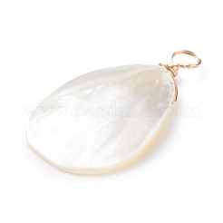 Натуральная ракушка трохида / подвески из ракушки трохуса X-PALLOY-JF01393