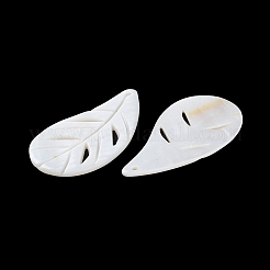 Природные подвески оболочки пресноводных BSHE-Z003-24