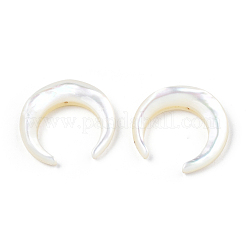 Натуральные белые бусины из ракушек SSHEL-N034-122A-03