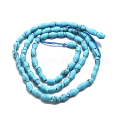 Окрашенные синтетические бирюзовые бусы нити&nbsp;G-D356-A01-01