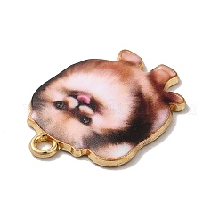 Подвески из сплава &nbsp;PALLOY-E028-01LG-03