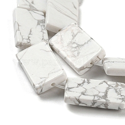 Природные Говлит бисер нитей G-M420-G09-01