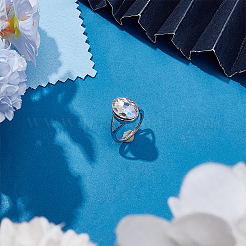 Регулируемые 925 фунт стерлингового серебра&nbsp;STER-BC0003-89B