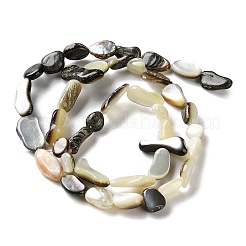 Нити бусин из натуральной черной ракушки для губ SHEL-G020-04