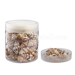 Спиральные бусины из ракушек BSHE-YW0001-02