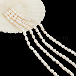 2 нить бусин из натурального культивированного пресноводного жемчуга PEAR-NB0002-56