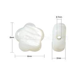 30шт натуральные пресноводные бусины из ракушек SHEL-CJ0001-29