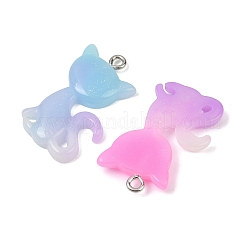 Подвески из смолы&nbsp;RESI-I347-01P