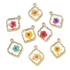 10 шт. подвески из эпоксидной смолы из цинкового сплава 5 цветов&nbsp;FIND-CJ0004-93