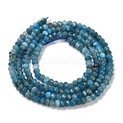 Природного апатита нитей бисера G-G155-A01-01