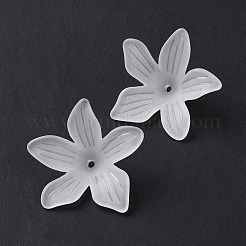 5-лепестковые прозрачные акриловые шарики OACR-A017-15