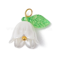 20 шт. Непрозрачные акриловые подвески PALLOY-JF02870