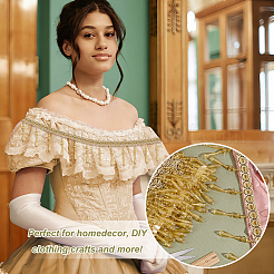 Кружевная бахрома из полиэстера длиной 5.6~5.7 м. SRIB-GA0001-06