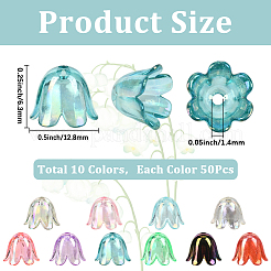 500шт 10 цвета акриловые колпачки для бусин&nbsp;OACR-SC0002-32