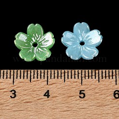 Акриловый шарик крышки OACR-G057-01D