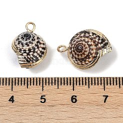 Гальванические подвески из натуральных спиральных ракушек SHEL-K006-41G